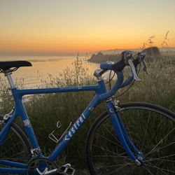 Kestrel CARBON Road Bike Full Ultegra
