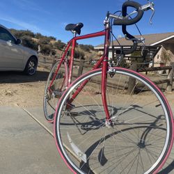 Raleigh Bike