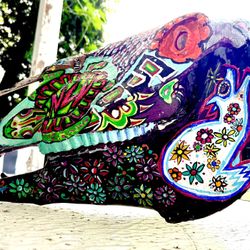 Tarot Design Hand Painted Horse Skull Protection Art  