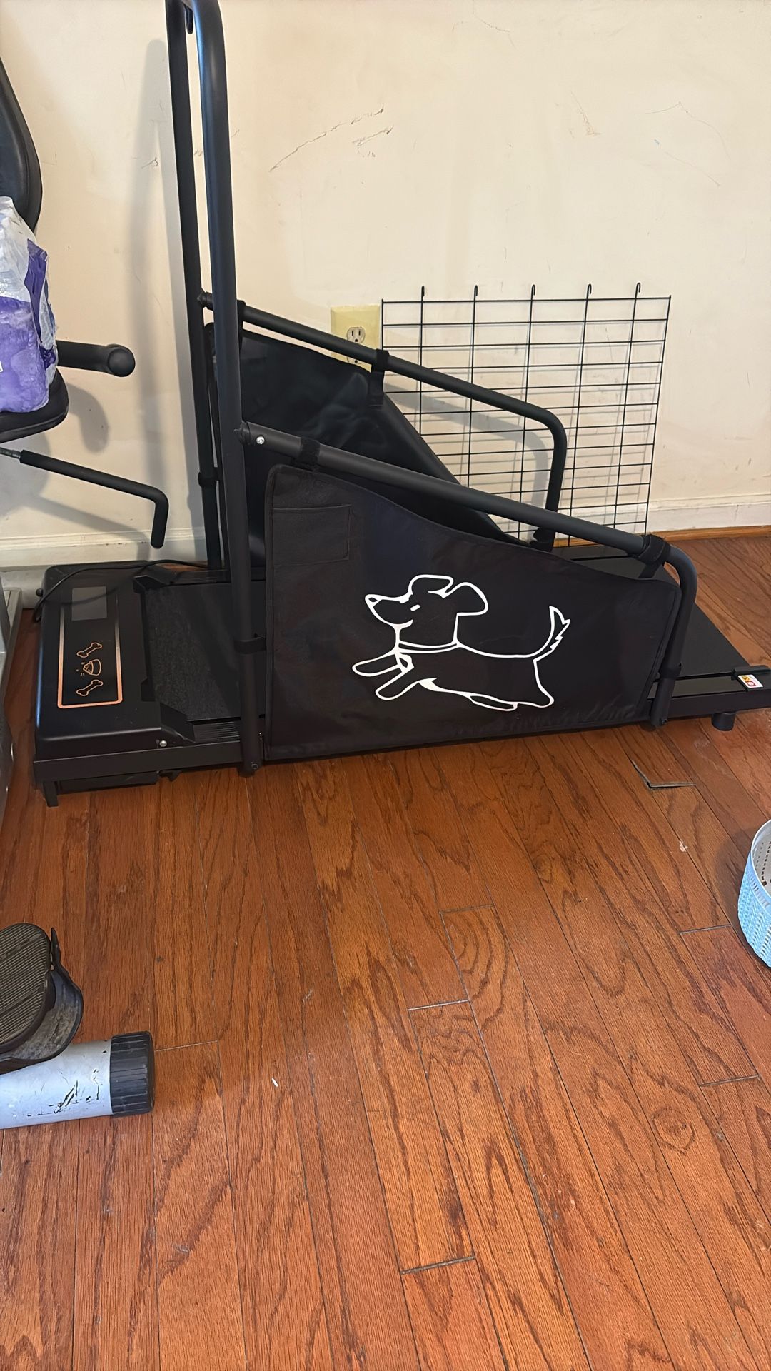 Dog Treadmill