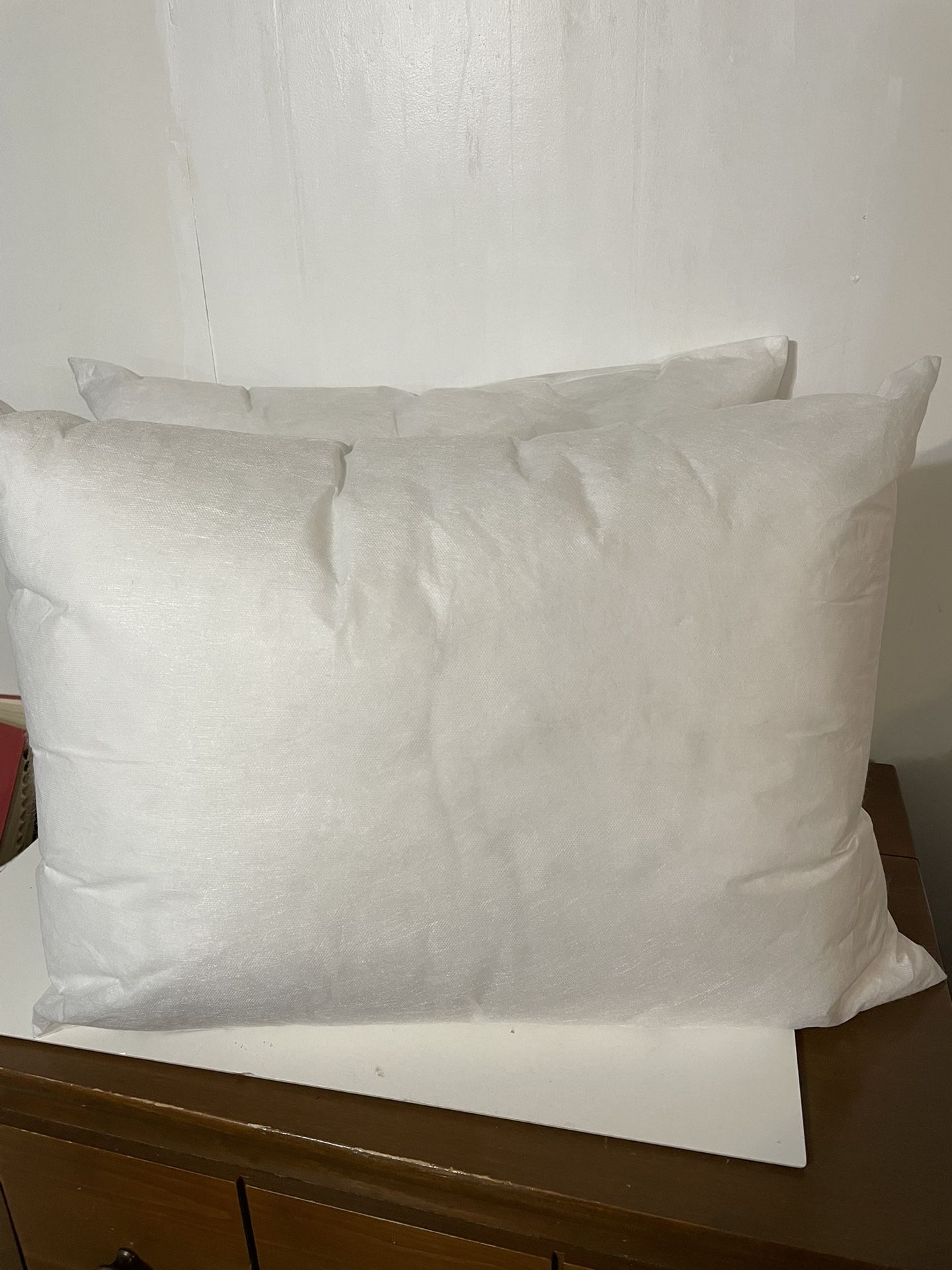 Two Very Full Pillows By Restoration Hardware Never Used