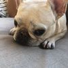 Charlie