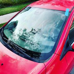 Auto Glass Replacement 