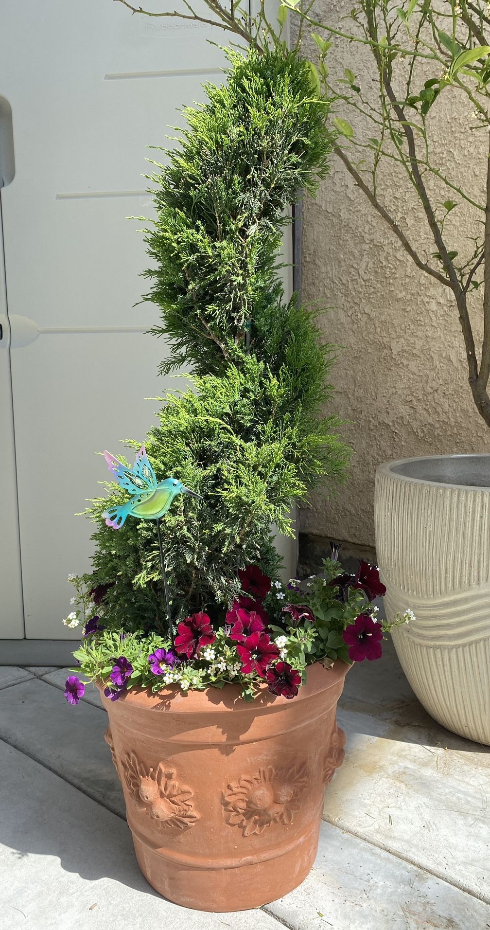Mint Julep Juniper Patio Perfect Spiral Planter) $145