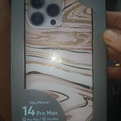 Iphone 12/13/14 ProMax Case
