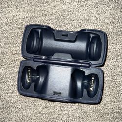 Bose Case 