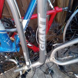 Can You Find Out Giant Sedona GT Avalanche GT Aggressor Track 1100 Schwinn Voyager Schwinn Sierra