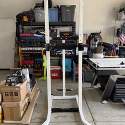 Pull up/dip bar adjustable