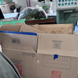 Free Moving Boxes