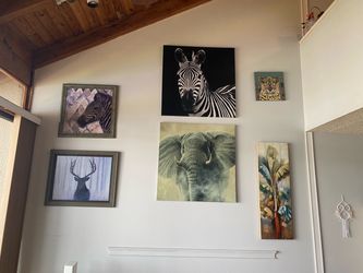 Animal Art Collection