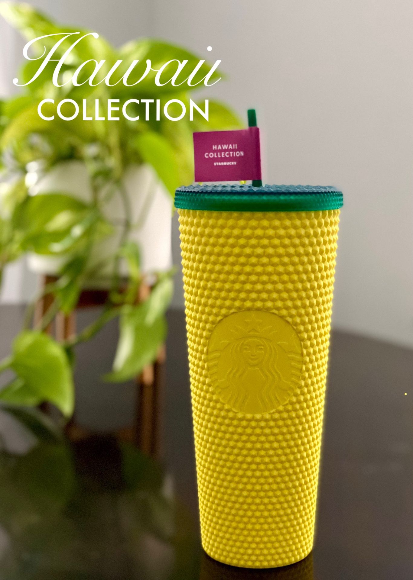 starbucks campus collection tumbler
