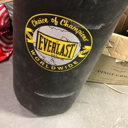 Every last 42 Lb punching bag