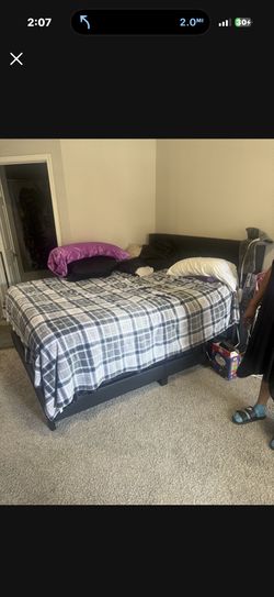 Queen Bed