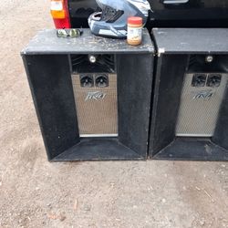 P.\nV Loudon speakers.\nOne hundred dollars for both