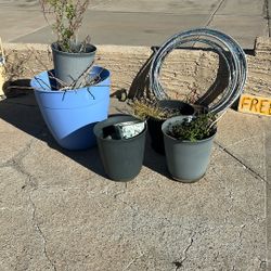Free pots and other items