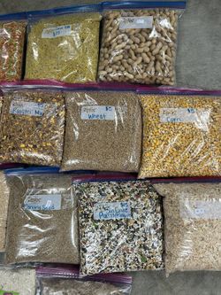 Bird Food/ Accessories 