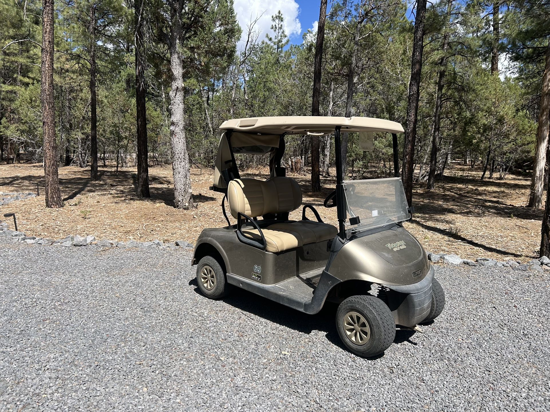 2019 EZ-GO RXV LITHIUM BATTERY