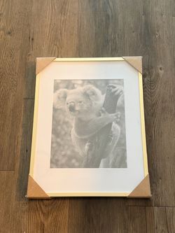 Framed Koala Photograph Print – Gold-Tone Frame, New/Sealed