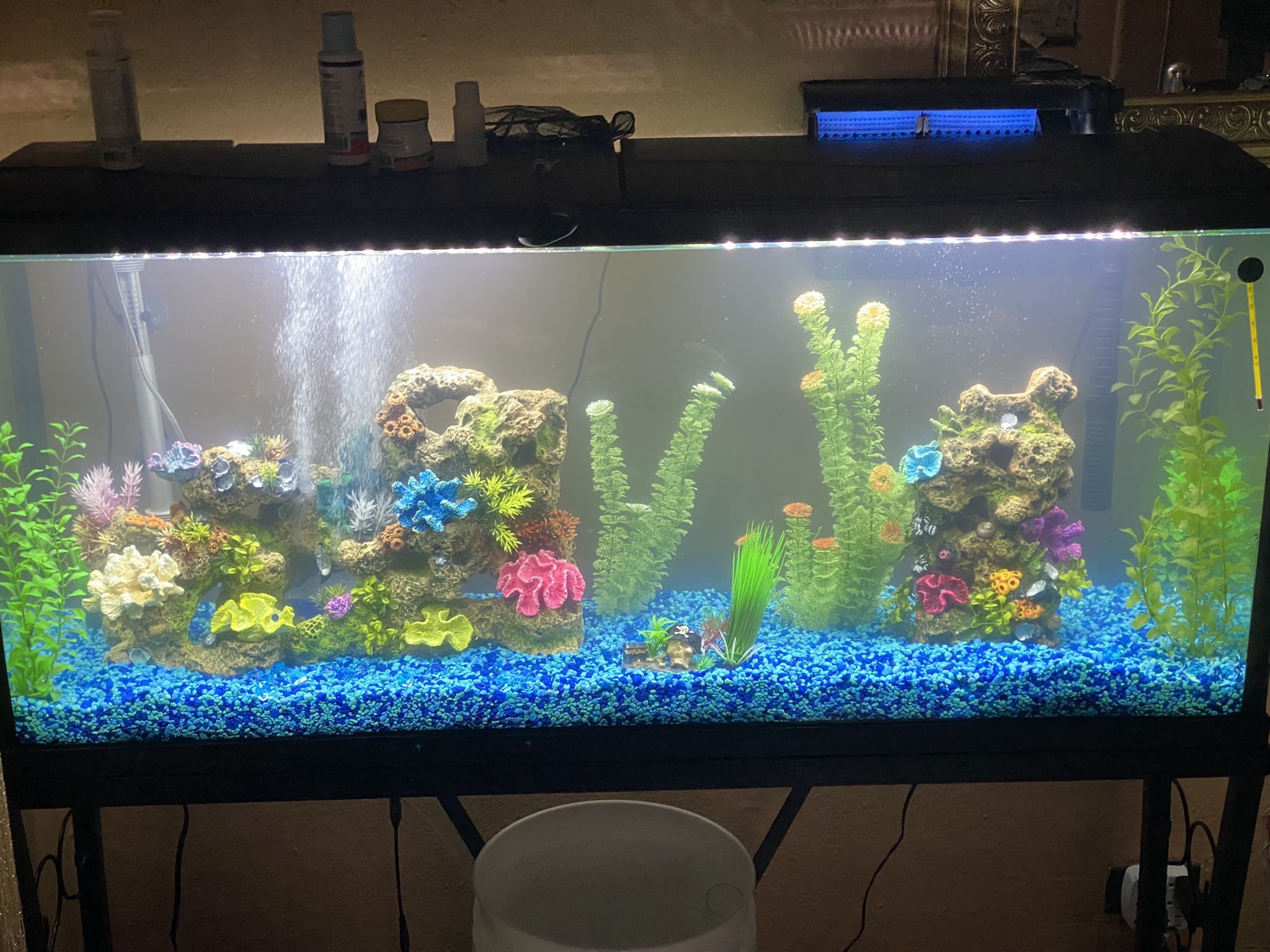 55 Gallon Fish Tank Aquarium Set Up And Stand.