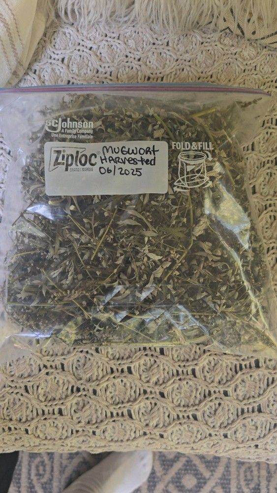 Mugwort