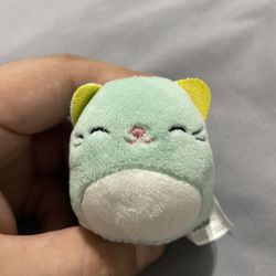 Squishmallows Squishville 2" Mystery Blind Bag Charisma the Mint Green Cat