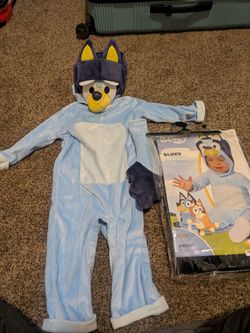 Bluey costume