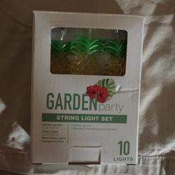 Pineapple Lights New