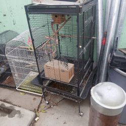 Bird Cage