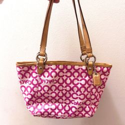 Rare Vintage Coach Bag