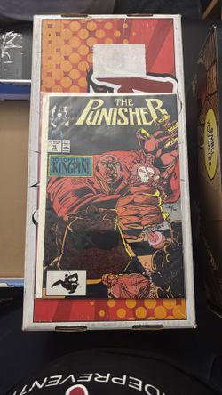 The Punisher 15