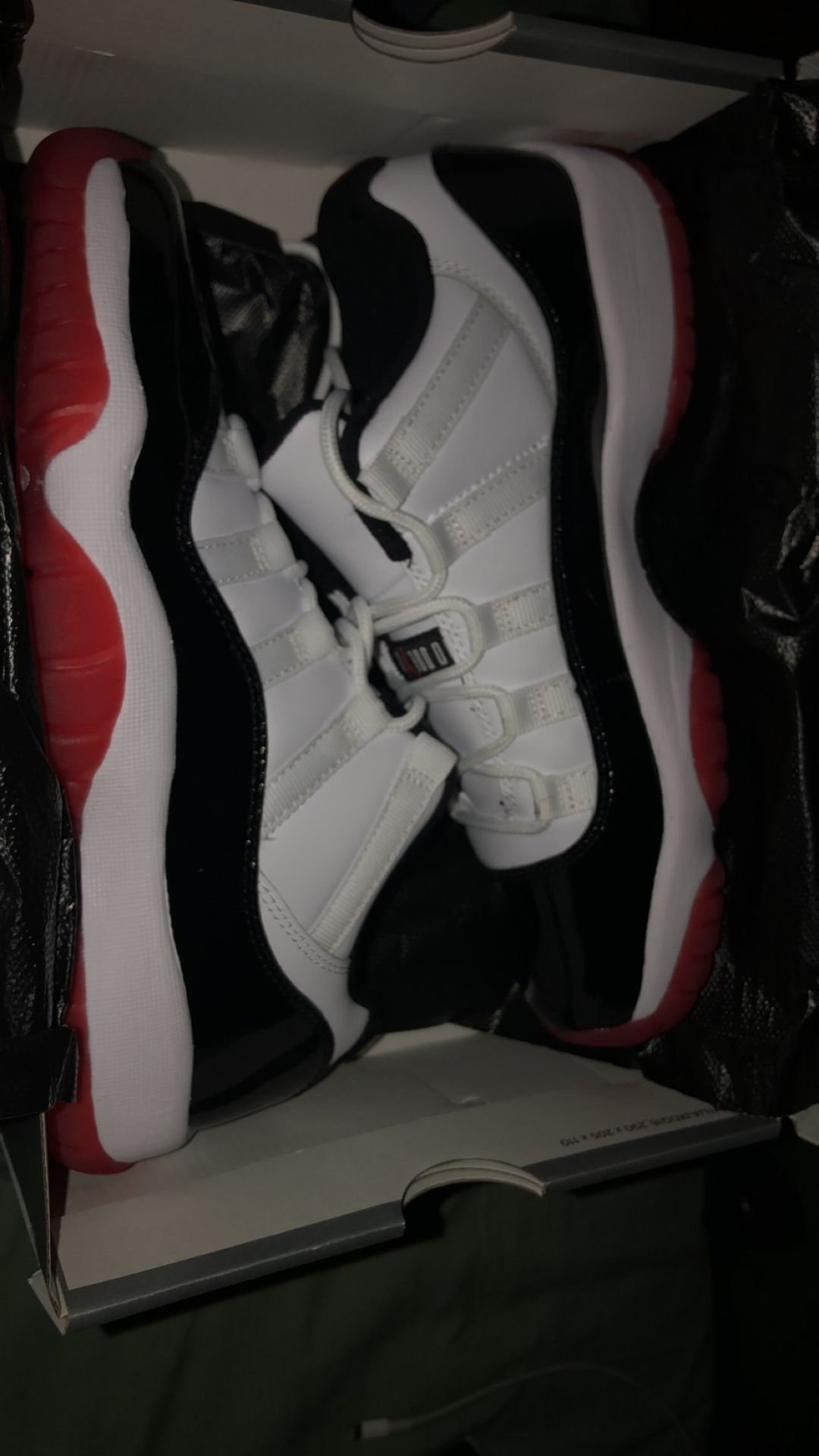 Jordan 11 Low
