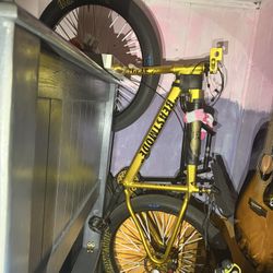 Beast Mode Ripper Gold