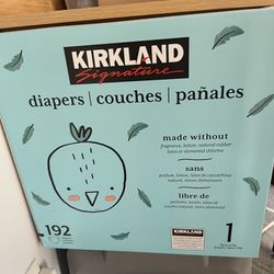Kirkland Size 1 Diapers (192+64)