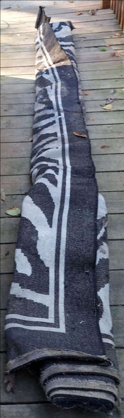 Big zebra print area rug