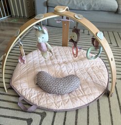 Ingenuity Activity Gym