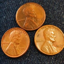 3 Wheat Pennies 