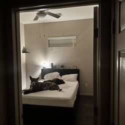 Queen Bed Frame Need Gone ASAP (OBO)