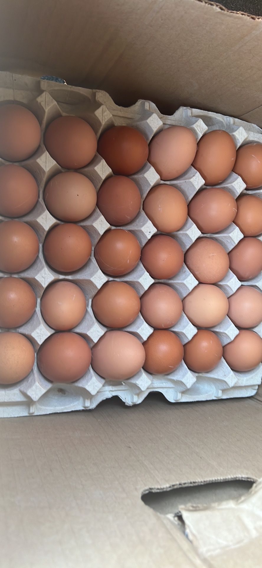 Huevos De Rancho 