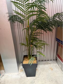 Fake plant