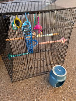 Bird Cage