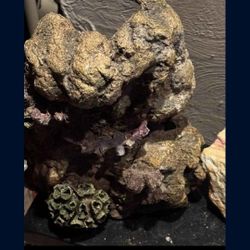 XL Large Reptile Mountain/ Hide