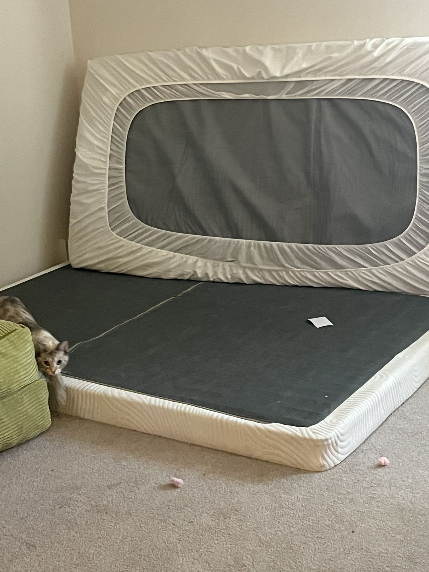 Twin mattress, full box spring