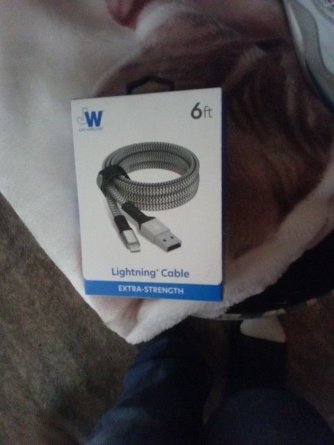 Lightning Cable Charger
