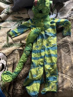 Chameleon Costume