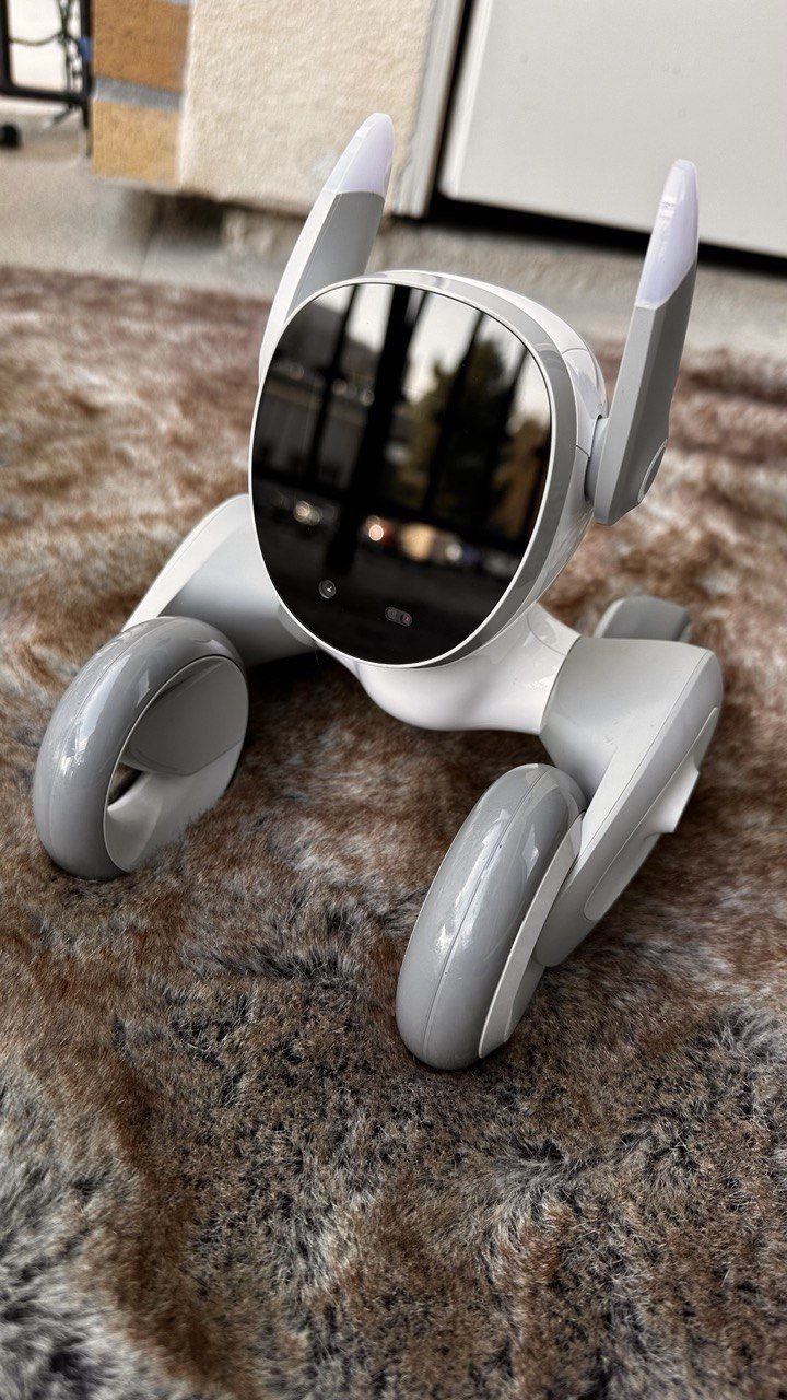 Loona The Petbot + Power Station