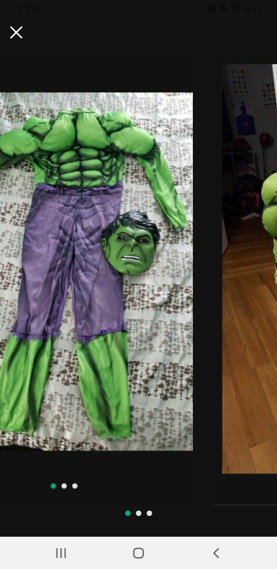 Hulk Costume Child Size Large 12-14