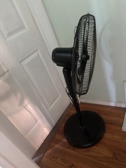 Fan