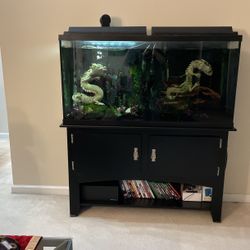 Fish Tank With Or Without Base