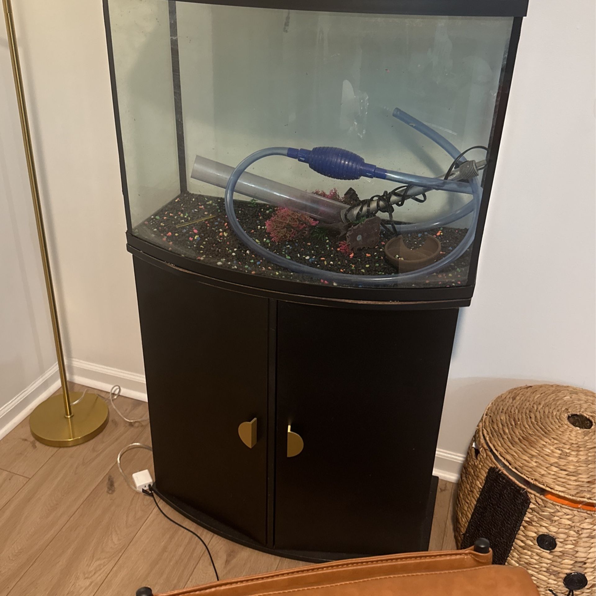 36 Gallon Fish Tank