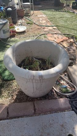 Large Outdoor Planter Pot